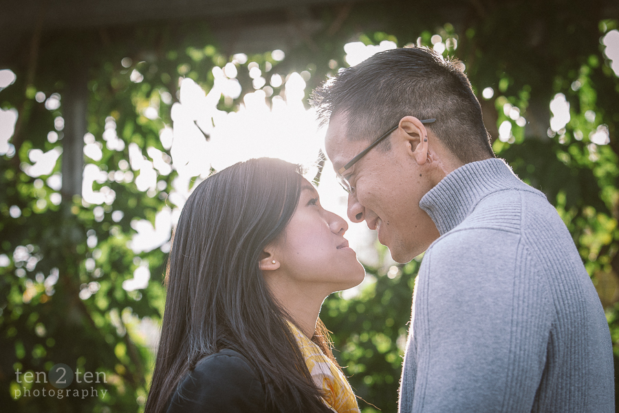 Toronto Wedding Photography